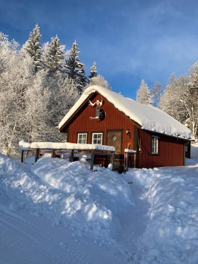 Valagardens Vaerdshus Och Camping Ab Vålådalen Bagian luar foto