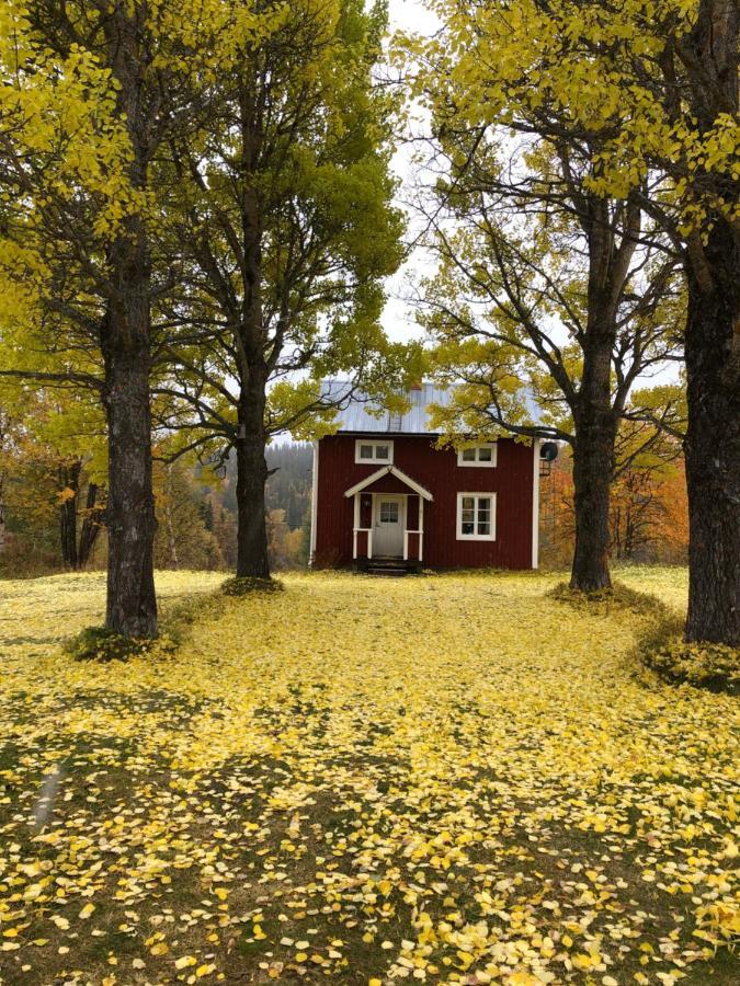 Valagardens Vaerdshus Och Camping Ab Vålådalen Bagian luar foto