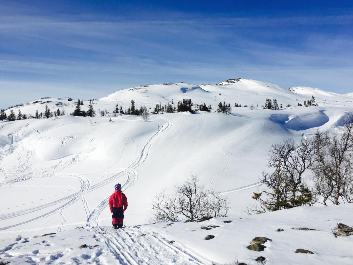 Valagardens Vaerdshus Och Camping Ab Vålådalen Bagian luar foto