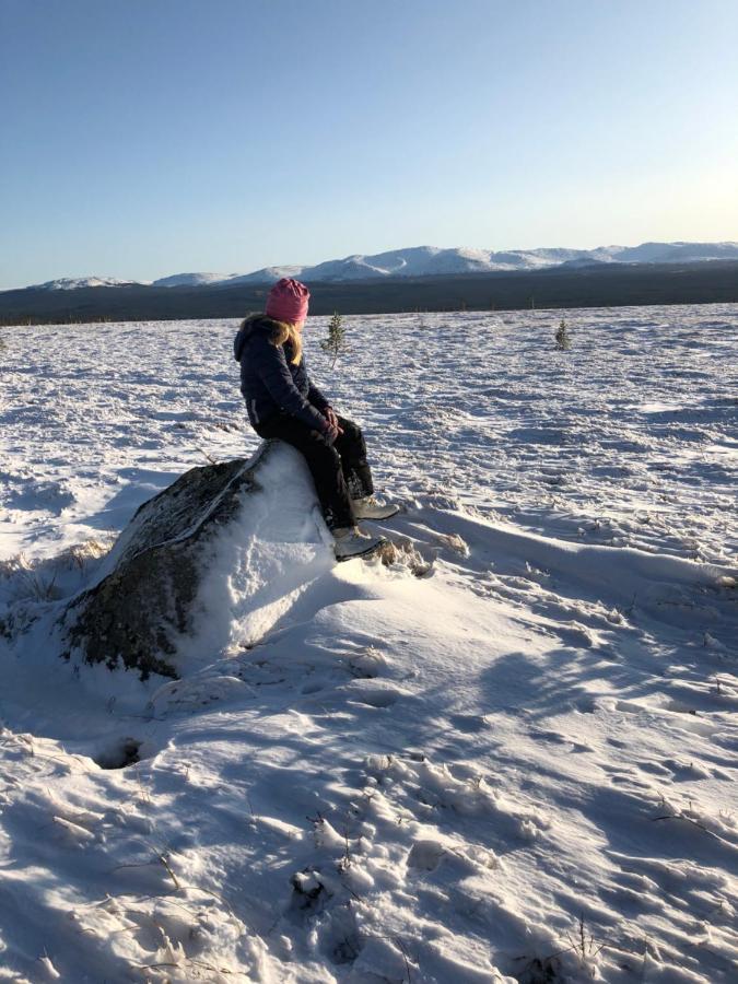 Valagardens Vaerdshus Och Camping Ab Vålådalen Bagian luar foto